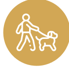 Connect With A Licensed Provider